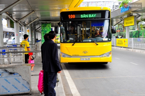 TP.HCM: Bus miễn phí vào sân bay hút khách