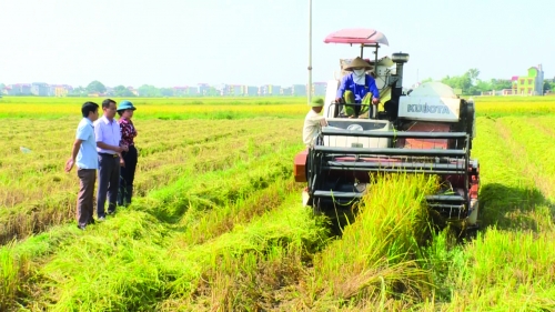 Triển vọng phát triển nông nghiệp công nghệ cao ở Quế Võ