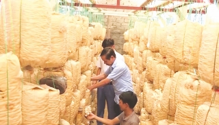 Hiệu quả nguồn vốn ưu đãi ở Quảng Xương