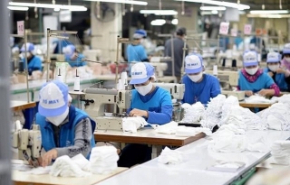 TP. Hồ Chí Minh: Tập trung nâng cao hiệu quả kết nối cung cầu lao động