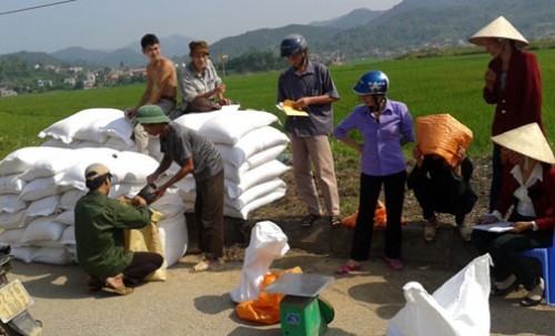 Xuất cấp hơn 1.500 tấn gạo hỗ trợ 2 tỉnh Điện Biên và Lạng Sơn