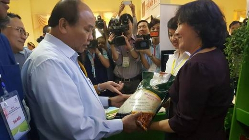 Thủ tướng Nguyễn Xuân Phúc: Nói thẳng, nói thật về ngành gạo