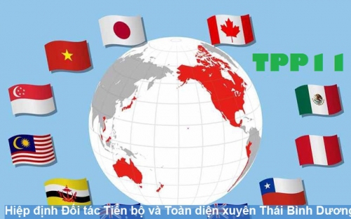 Tham gia CPTPP có lợi lớn cho Việt Nam