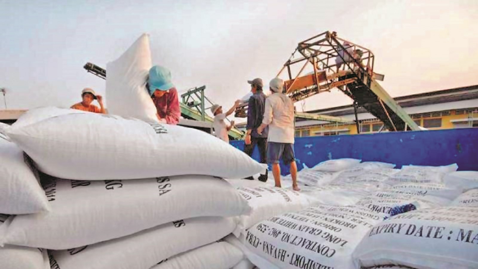 Xuất khẩu gạo vẫn đạt tăng trưởng