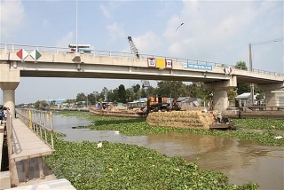 Thủ tướng chỉ đạo ứng phó xâm nhập mặn tại Đồng bằng sông Cửu Long