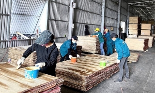 Xuất khẩu gỗ và sản phẩm gỗ 2 tháng đầu năm giảm gần 35%