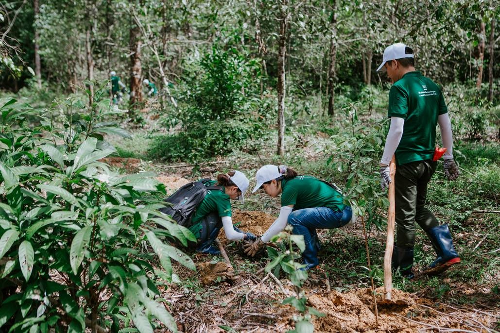 Nestlé nỗ lực bảo vệ rừng, giảm tác động từ biến đổi khí hậu