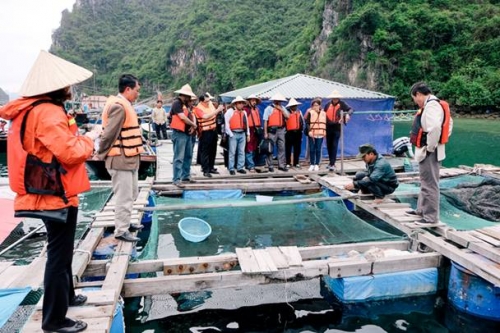 Hiệu quả tín dụng chính sách tại vùng mỏ Quảng Ninh