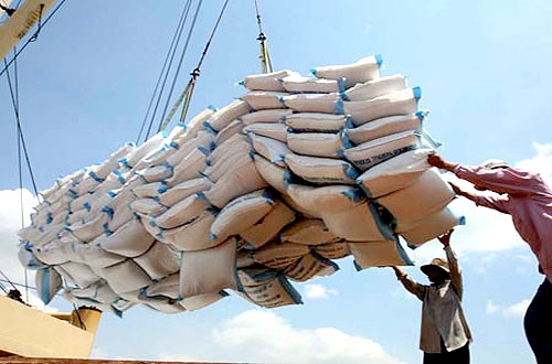 Thực hiện đồng bộ các giải pháp để đẩy mạnh hoạt động xuất khẩu gạo