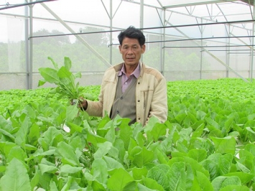 Đà Nẵng đầu tư nhiều nguồn lực cho nông nghiệp công nghệ cao