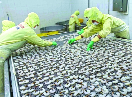 Gỡ “thẻ vàng” đối với hải sản Việt Nam: Không để trên nóng dưới lạnh