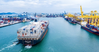 WTO: Thương mại hàng hóa sẽ phục hồi tốt hơn trong năm nay