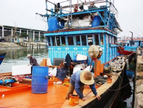 Đề xuất hỗ trợ ngư dân đã vay vốn tại các tỉnh có cá chết hàng loạt