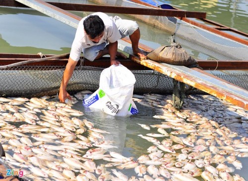 Agribank triển khai nhiều chính sách ưu đãi hỗ trợ ngư dân miền Trung vượt khó