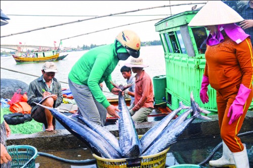 Tín dụng rốt ráo hỗ trợ ngư dân