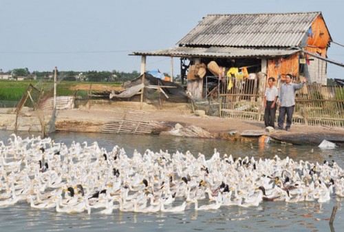 Niềm vui trên những nẻo đường quê Bác