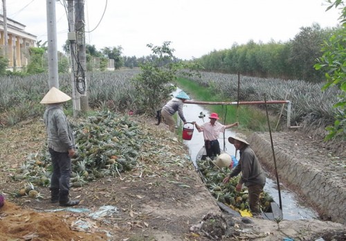 NHCSXH tỉnh Tiền Giang giúp dân thoát nghèo