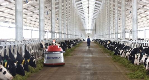 Vinamilk lên tiếng về việc một hộ chăn nuôi đổ sữa tại Nghệ An
