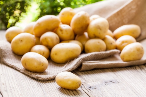 Bỉ tìm đường xuất khẩu khoai tây vào Việt Nam