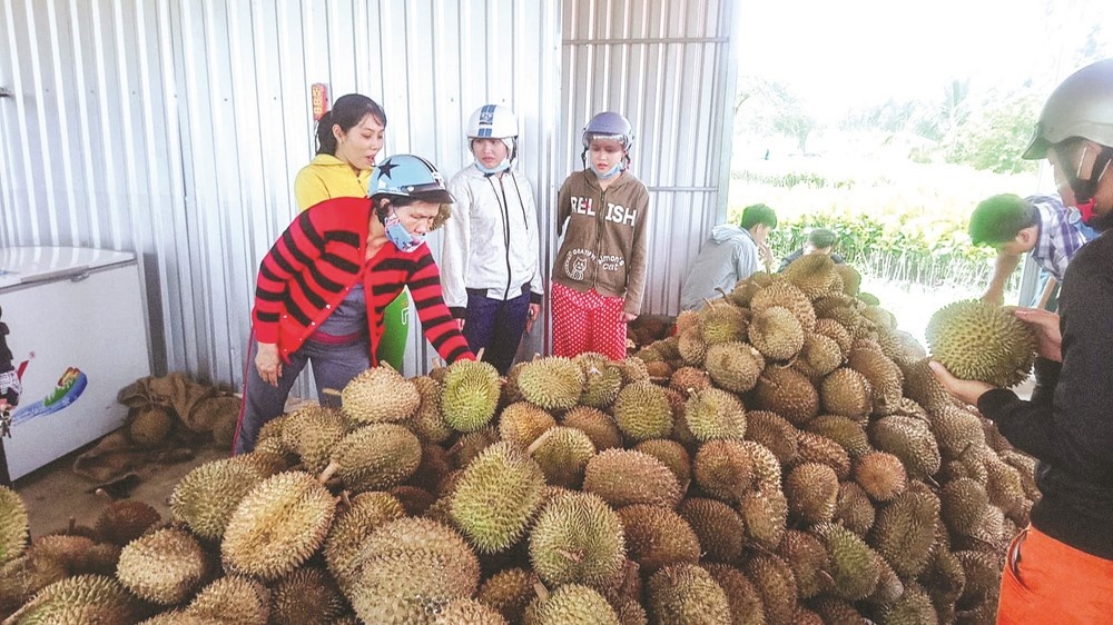 Nguy cơ nông sản Việt thất sủng ở ASEAN