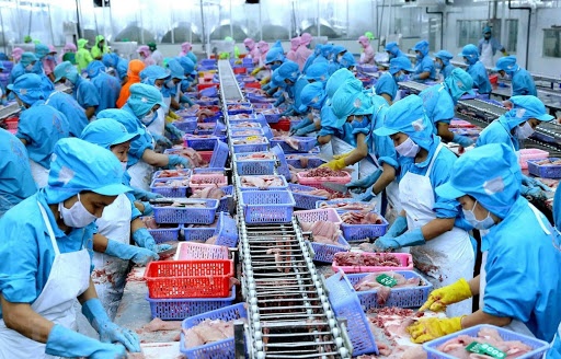 Ngành thủy sản Việt Nam: Cơ hội khôi phục sản xuất, kinh doanh