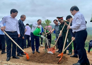 Chủ tịch nước Nguyễn Xuân Phúc tham gia trồng vườn cây mắc ca ở Điện Biên