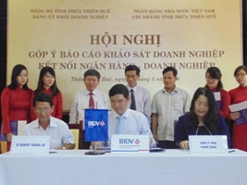 Thêm hơn 500 tỷ đồng kết nối NH - DN trên địa bàn Thừa Thiên Huế