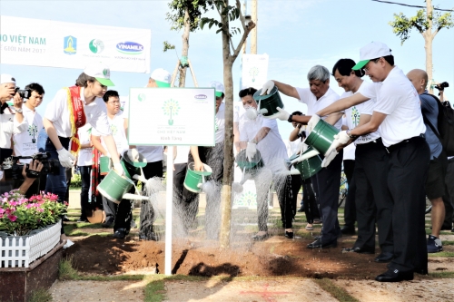 Vinamilk trồng hơn 110.000 cây xanh chống xâm nhập mặn tại Bà Rịa - Vũng Tàu