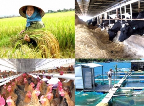Các biện pháp hỗ trợ TCTD cho vay phát triển nông nghiệp, nông thôn