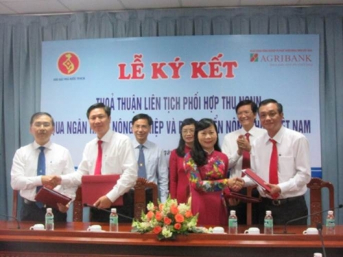 Agribank Sài Gòn phối hợp với Kho bạc TP.HCM thu ngân sách