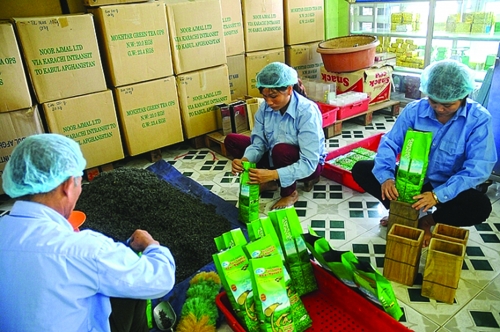Nông sản Việt gia tăng xuất khẩu