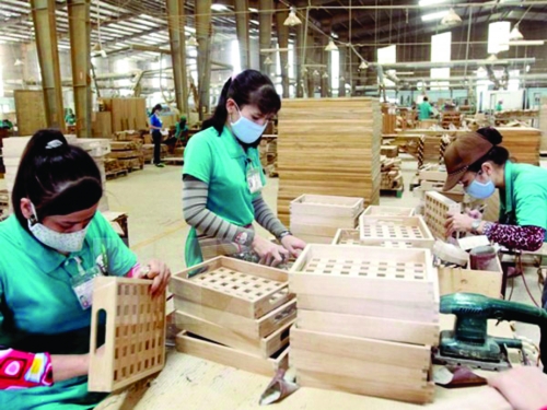 Doanh nghiệp gỗ Việt phải chủ động hơn nữa
