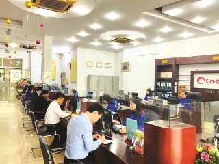 Ngân hàng Hợp tác xã Chi nhánh Phú Thọ: Hành trình thực thi sứ mệnh “ngân hàng” của các QTDND