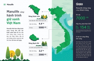 Manulife Việt Nam cùng khách hàng trồng rừng, hướng tới một tương lai bền vững