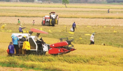 Vai trò của ngân hàng với chuỗi giá trị nông sản
