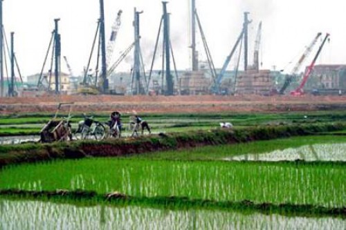 Chuyển đổi hơn 1.477 ha đất trồng lúa tại Hải Phòng và Long An sang đất phi nông nghiệp