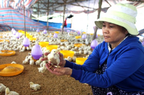 “Điểm tựa” cho người nghèo tỉnh Khánh Hòa