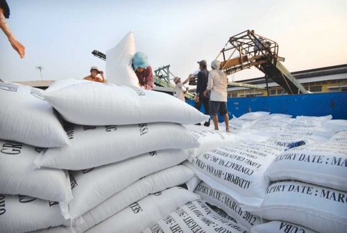 DN Việt trúng thầu 175.000 tấn gạo bán cho Philippines