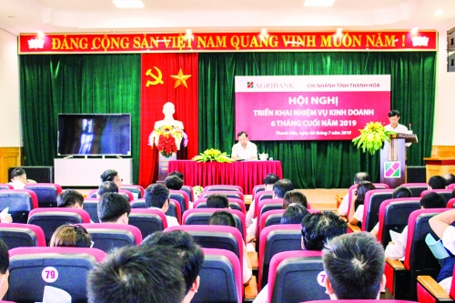 Agribank Thanh Hóa: Trụ cột thúc đẩy nông nghiệp nông thôn của tỉnh