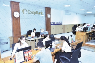 Ngân hàng Hợp tác xã Việt Nam chi nhánh Hai Bà Trưng: Hỗ trợ quỹ tín dụng nhân dân và phát triển kinh tế địa phương