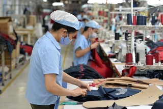 Dệt may Việt Nam: Thúc đẩy liên kết chuỗi mở rộng thị trường xuất khẩu