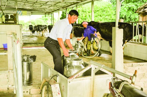 QTDND Thị trấn Nông trường Mộc Châu: Hành trình gieo no ấm trên thảo nguyên