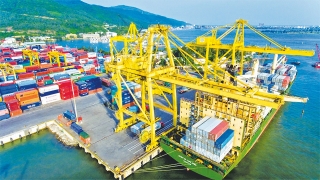 Tận dụng FTA để xuất khẩu bền vững