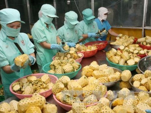 Nâng cao vị thế ngành nông nghiệp Việt