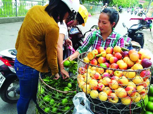 Trái cây Trung Quốc tràn ngập thị trường