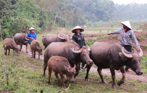 Đồng hành với người nghèo trên quê hương đất tổ