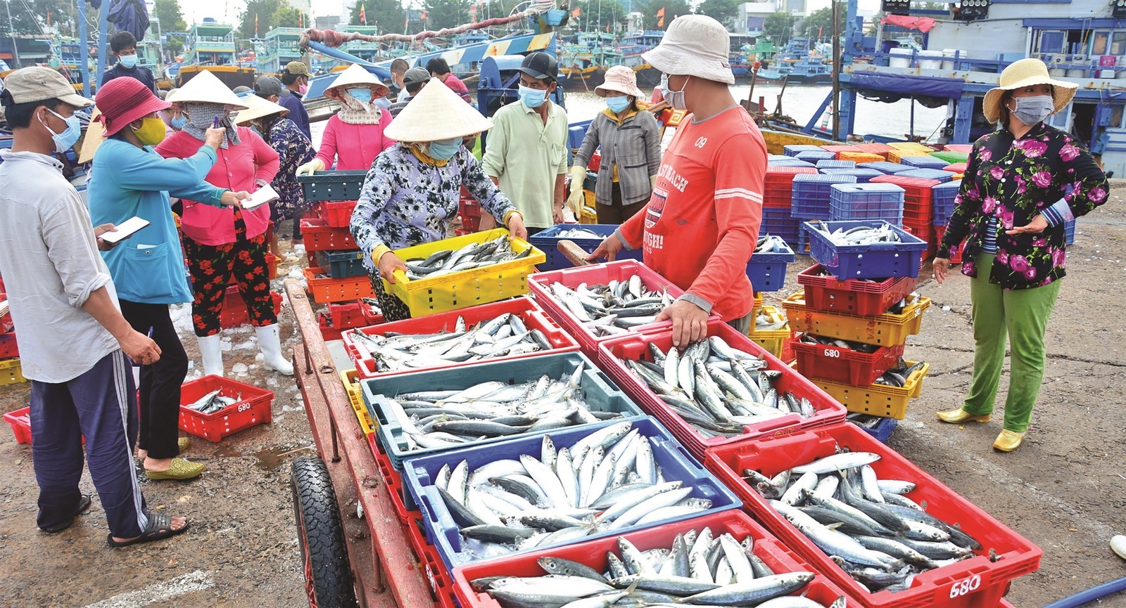 Bình Thuận: Tắc đầu ra, hải sản rớt giá mạnh
