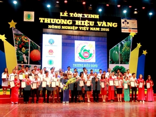 Bảo vệ thương hiệu: Vấn đề sống còn của doanh nghiệp Việt
