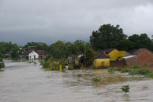 Hỗ trợ 260 tỷ đồng cho 12 địa phương khắc phục thiệt hại do bão, lũ