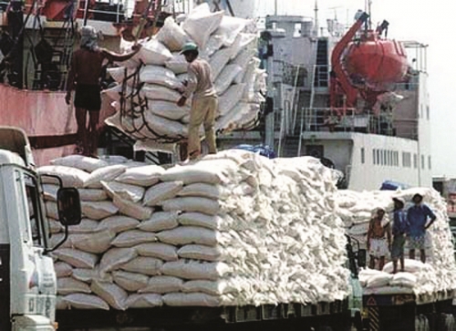 Dự kiến xuất khẩu vượt mục tiêu 400 nghìn tấn gạo